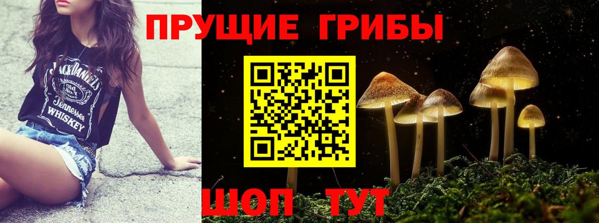 Галлюциногенные грибы мицелий Светлоград