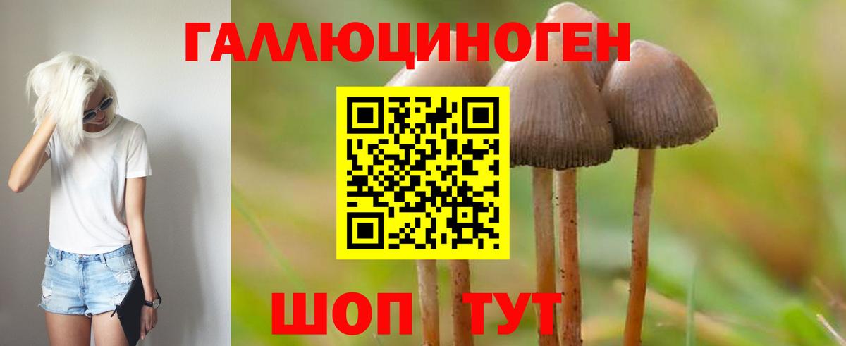 Светлоград  Галлюциногенные грибы Psilocybine cubensis  Вход с VPN 